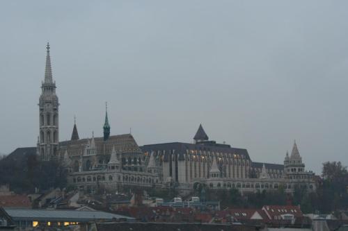 IMG 1748 resize