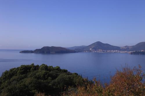 IMG 1306 resize
