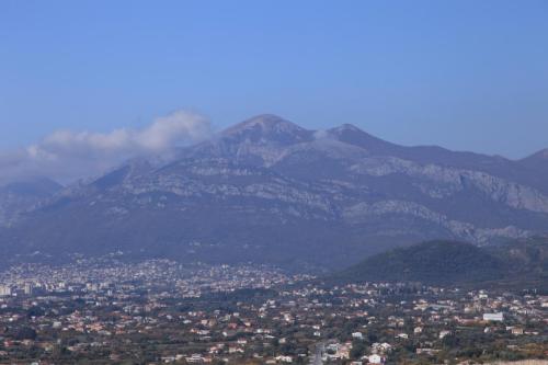 IMG 1330 resize