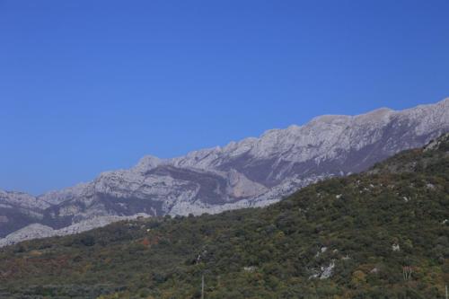 IMG 1332 resize