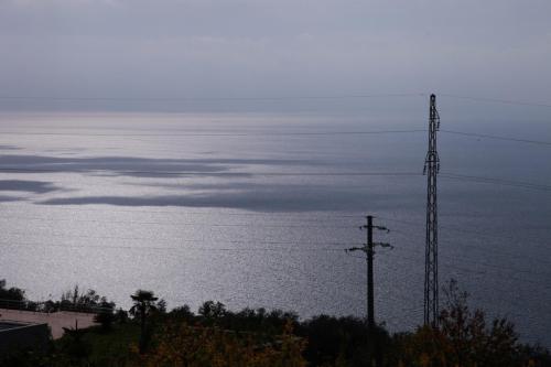 IMG 1354 resize