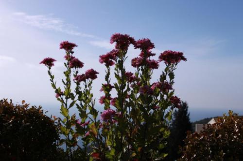 IMG 1363 resize