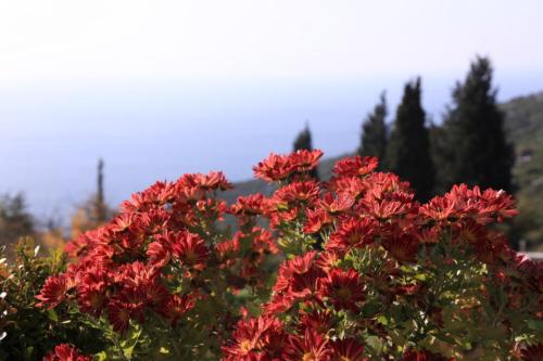IMG 1367 resize