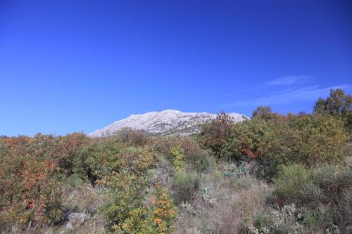 IMG 1376 resize