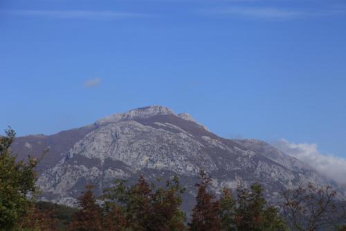 IMG 1387 resize