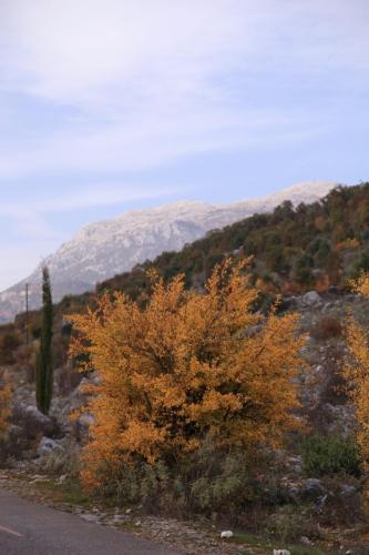 IMG 1394 resize