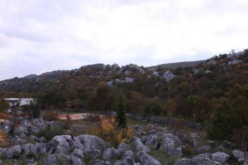 IMG 1399 resize
