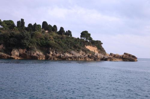 IMG 1418 resize