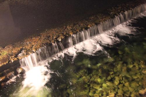 IMG 1290 resize