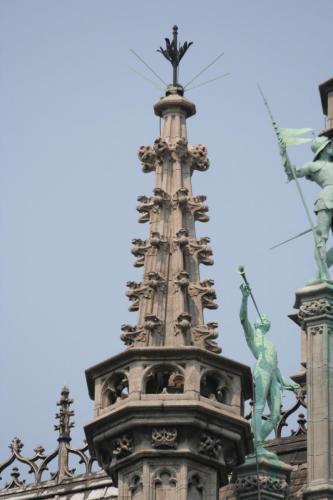 IMG 5876 resize