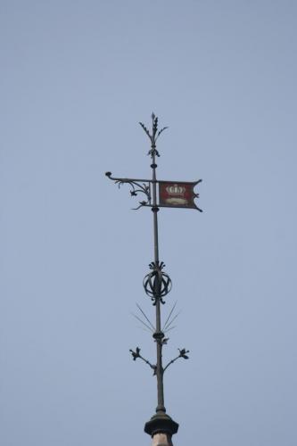 IMG 5892 resize