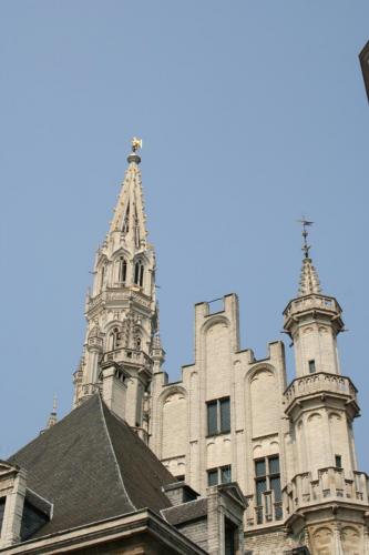 IMG 5935 resize