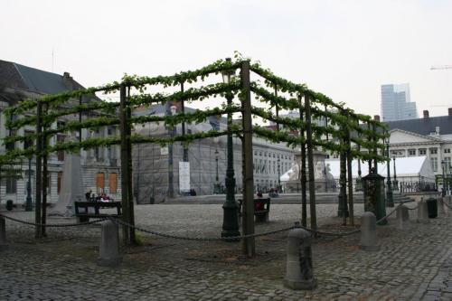 IMG 6028 resize