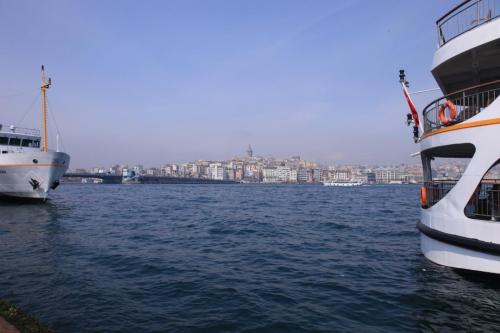 IMG 3146 resize