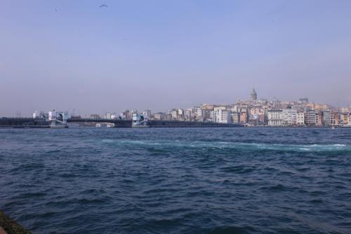 IMG 3156 resize