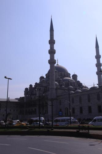 IMG 3170 resize