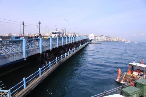IMG 3173 resize