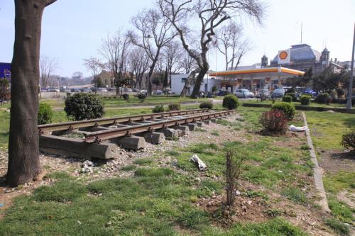 IMG 3180 resize