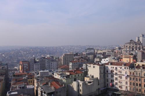 IMG 3242 resize