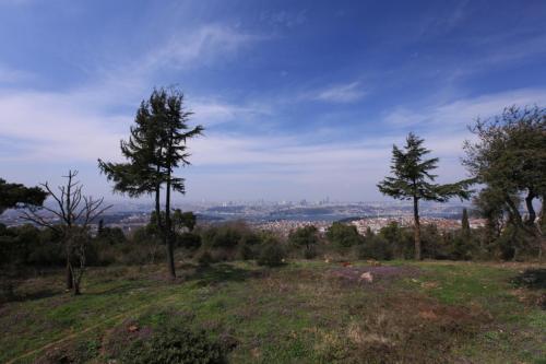 IMG 3058 resize