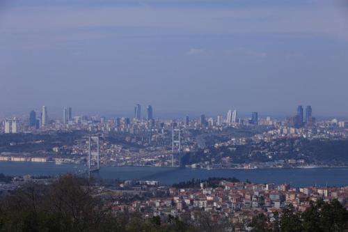 IMG 3070 resize