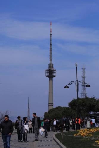 IMG 3080 resize