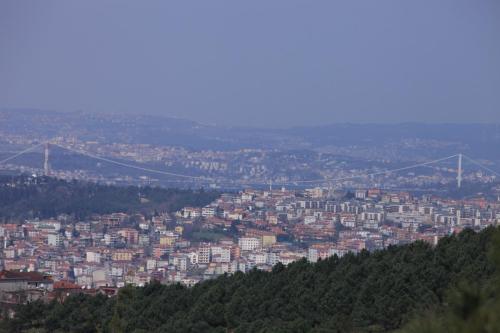 IMG 3082 resize