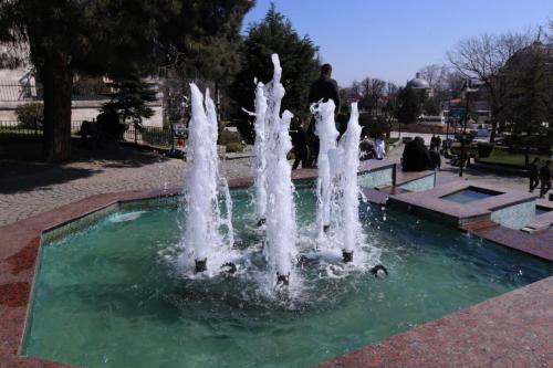 IMG 2638 resize