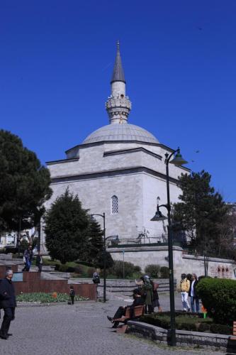 IMG 2642 resize