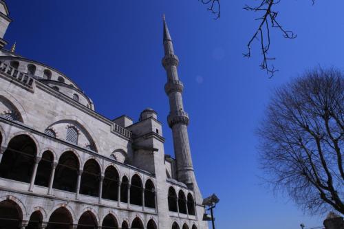 IMG 2689 resize