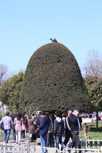 IMG 2727 resize