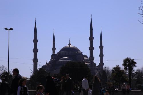 IMG 2739 resize