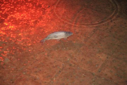 IMG 2945 resize