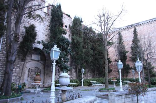 IMG 3046 resize
