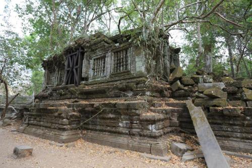 IMG 3023 resize