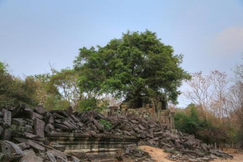 IMG 3175 resize