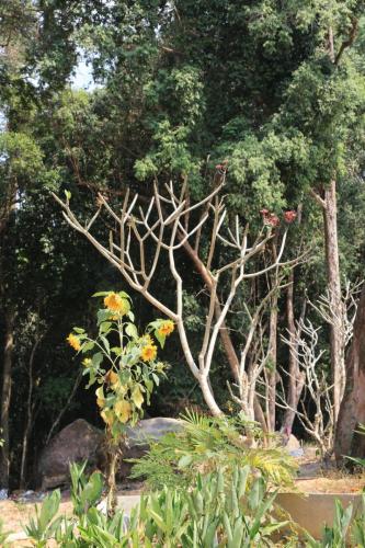 IMG 2703 resize