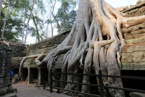 Cambodia