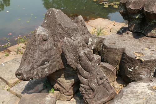 IMG 1834 resize