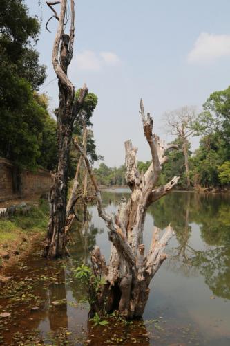 IMG 1835 resize