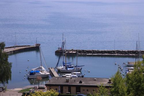 IMG 3993 resize