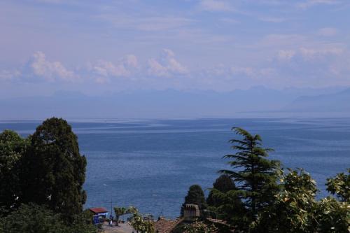 IMG 3995 resize