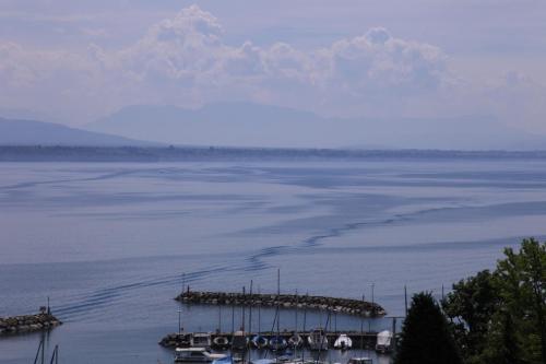 IMG 4020 resize