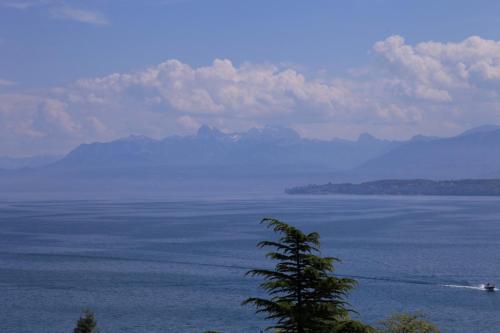 IMG 4021 resize