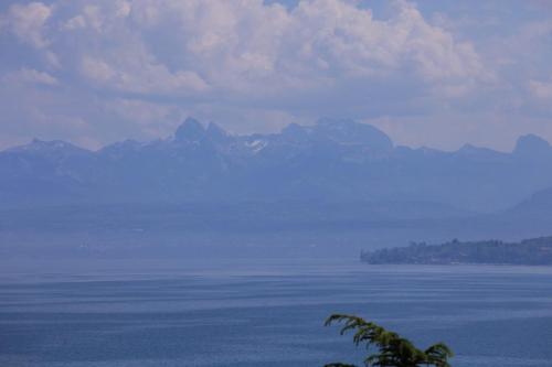 IMG 4025 resize