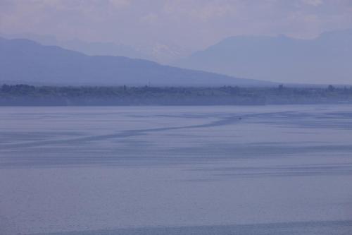 IMG 4028 resize