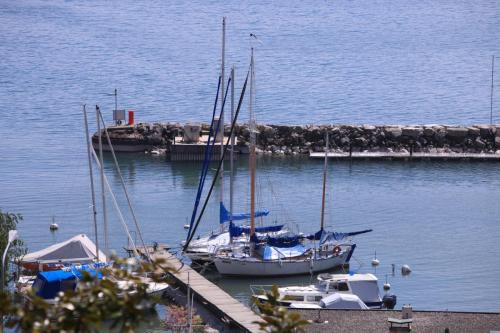 IMG 4029 resize