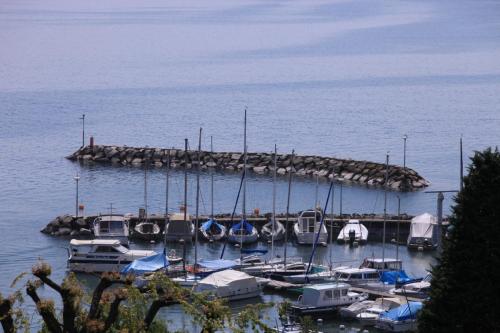 IMG 4034 resize