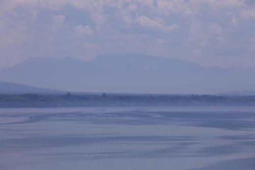 IMG 4035 resize