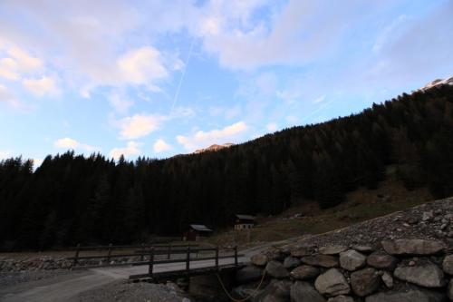 IMG 3918 resize